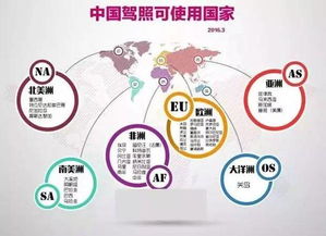 逆天了我的中國駕照 竟然可以做這些事
