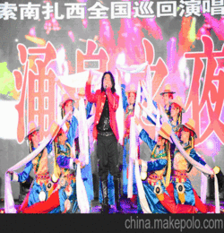 明星演出 公關策劃