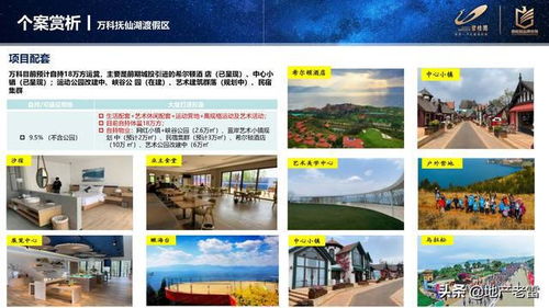 房地產(chǎn)進入性調(diào)研 2021撫仙湖市場報告
