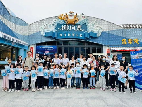 沙灘上遇到它們該怎么辦 記住這三點